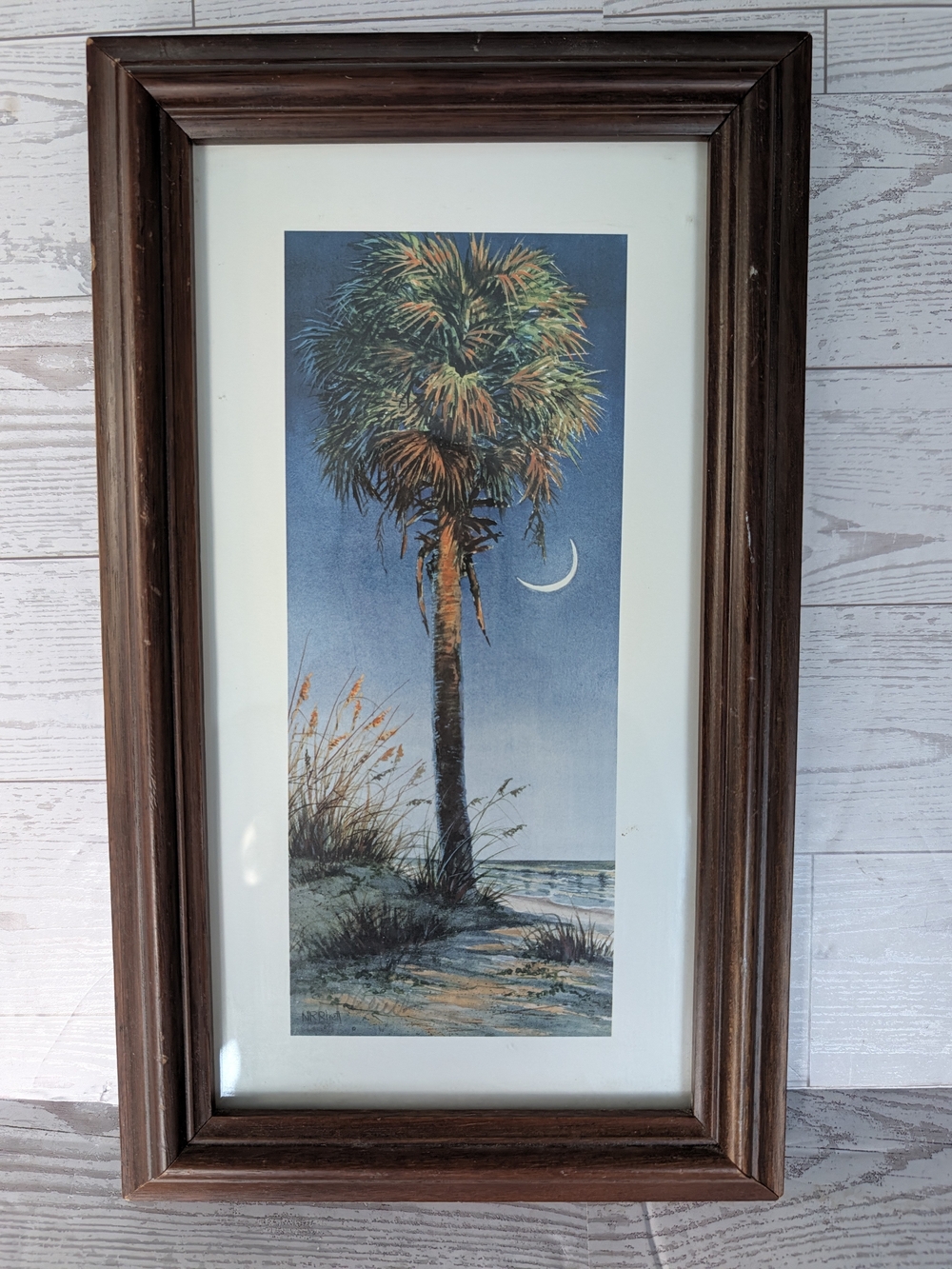 Nancy Ricker Rhett Palmetto Moon Framed Print